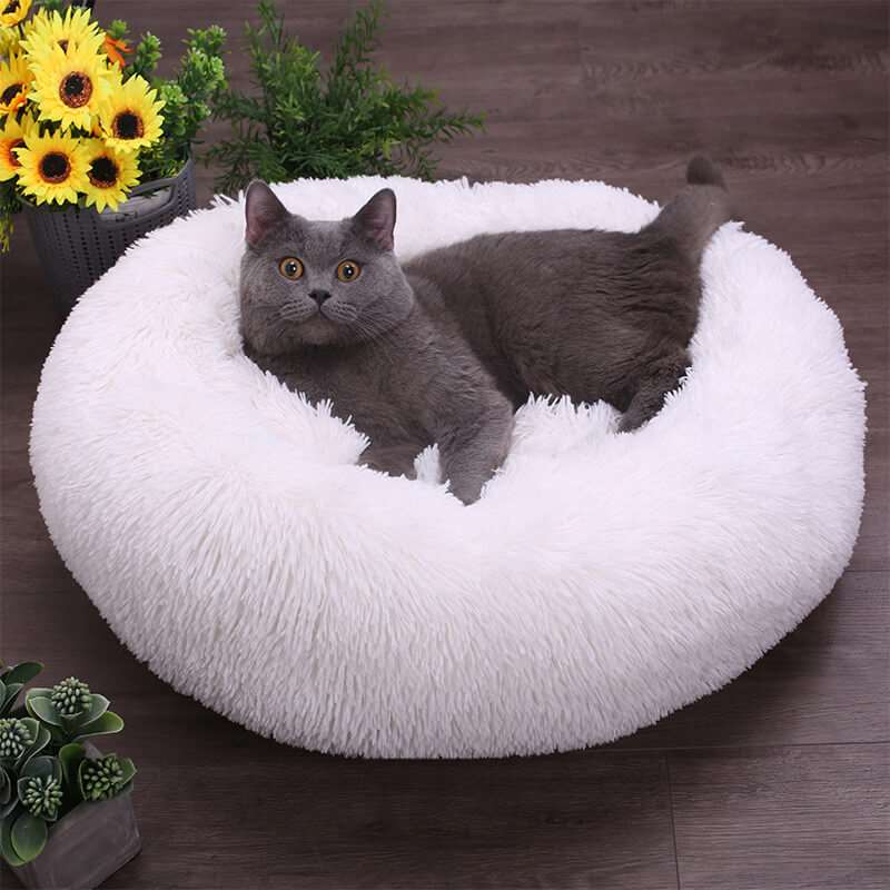 🔥 Anxiety Relieving Pet Bed